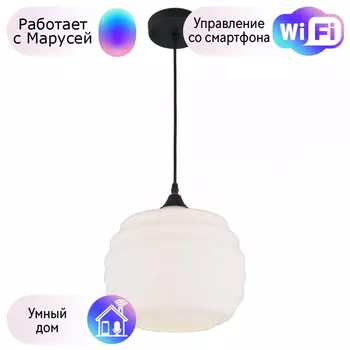 Светильник с поддержкой Маруси подвесной APLOYT APL.605.26.01-M