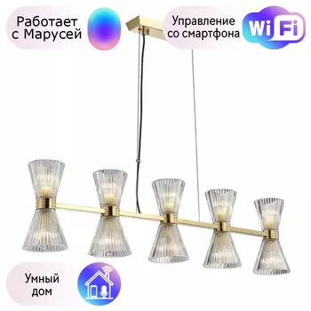 Светильник с поддержкой Маруси подвесной APLOYT APL.801.03.10-M