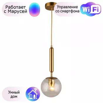 Светильник с поддержкой Маруси подвесной APLOYT APL.728.06.01-M