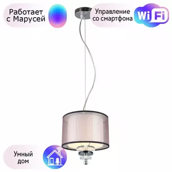 Светильник с поддержкой Маруси подвесной APLOYT APL.703.06.01-M