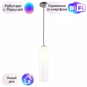 Светильник с поддержкой Маруси подвесной Omnilux OML-99606-01-M