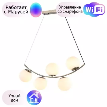 Светильник с поддержкой Маруси подвесной Omnilux OML-94903-05-M