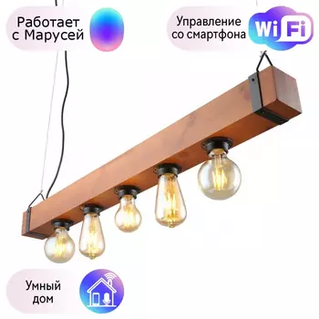 Светильник с поддержкой Маруси подвесной Omnilux OML-94603-05-M