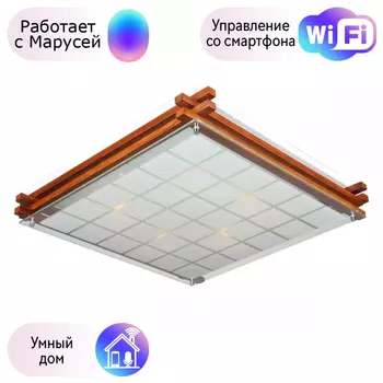 Светильник с поддержкой Маруси потолочный Omnilux OML-40527-05-M