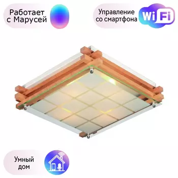 Светильник с поддержкой Маруси потолочный Omnilux OML-40517-04-M