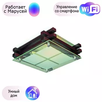 Светильник с поддержкой Маруси потолочный Omnilux OML-40507-02-M