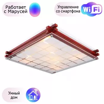 Светильник с поддержкой Маруси потолочный Omnilux OML-40527-04-M