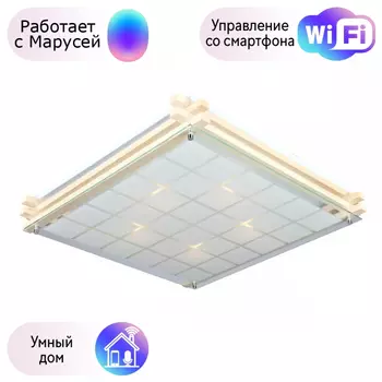 Светильник с поддержкой Маруси потолочный Omnilux OML-40517-05-M