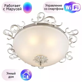 Светильник с поддержкой Маруси потолочный Omnilux OML-76517-05-M