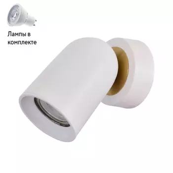 Светильник спот с Led лампочками в комплекте DeMarkt 545024201+Lamps