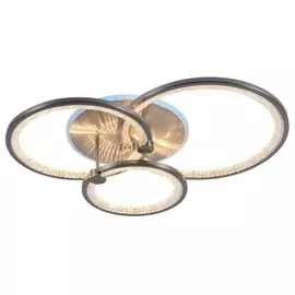 Светодиодная диммируемая люстра с ПДУ Profit Light 8002/3 NKL