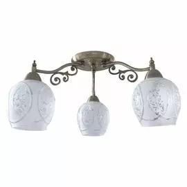 TL7370X-03AB Люстра потолочная TOPLIGHT Lora