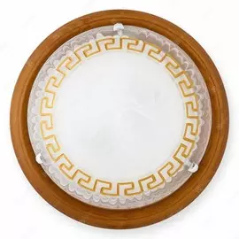 TL9173Y-02OA Настенно-потолочный светильник Toplight Gien