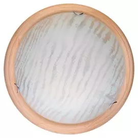 TL9490Y-00PN Настенно-потолочный светодиодный светильник Toplight Calista