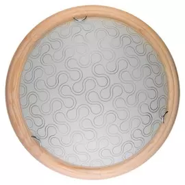 TL9520Y-00PN Настенно-потолочный светодиодный светильник Toplight Christina