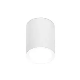 TN215 WH/S Накладной точечный светильник Ambrella light Techno