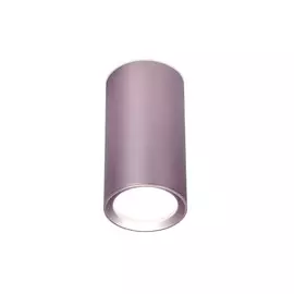 TN220 PU/S Накладной точечный светильник Ambrella light Techno