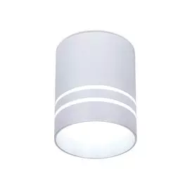 TN241 SL/S Накладной точечный светильник Ambrella light Techno