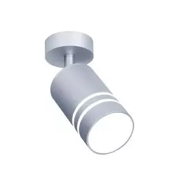 TN246 SL/S Поворотный точечный светильник Ambrella light Techno