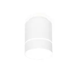 TN255 WH/S Накладной точечный светильник Ambrella light Techno