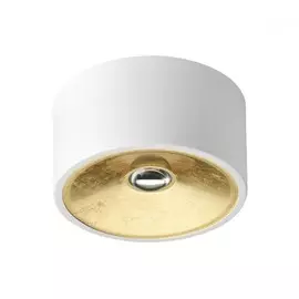 Точечный накладной светильник Odeon Light Glasgow 3892/1C