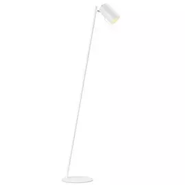 Торшер с диммером Markslojd Carrie 106878