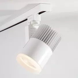 Трехфазный LED светильник 30W 4200К для трека Accord Elektrostandard Accord Белый 30W 4200K (LTB43) трехфазный (a044428)