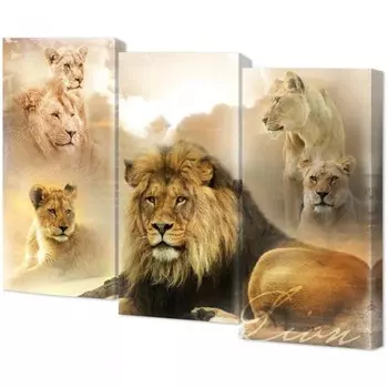 Трехмодуль TL-M3079 Toplight