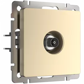 ТВ-розетка оконечная (шампань) Werkel W1183011