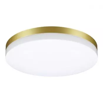 Уличный настенно-потолочный светильник Novotech Opal 358892