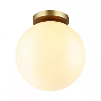 Уличный настенно-потолочный светильник Odeon Light Bosco 4248/1C