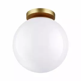 Уличный настенно-потолочный светильник Odeon Light Bosco 4248/1C