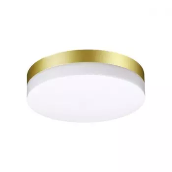 Уличный настенно-потолочный светодиодный светильник Novotech Opal 358884