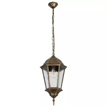 Уличный подвесной светильник Arte Lamp Genova A1204SO-1BN