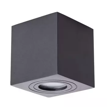 Уличный потолочный светильник Arte Lamp Galopin A1461PL-1BK