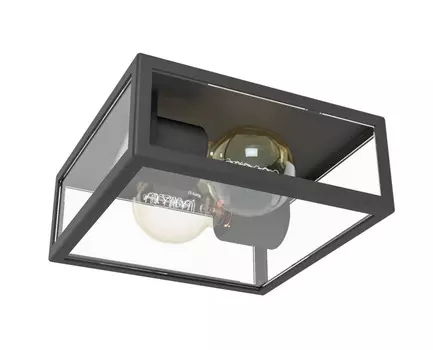 Уличный потолочный светильник Eglo Alamonte 1 94832