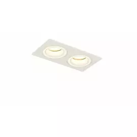 Встраиваемый светильник Syneil 2070-2DLW