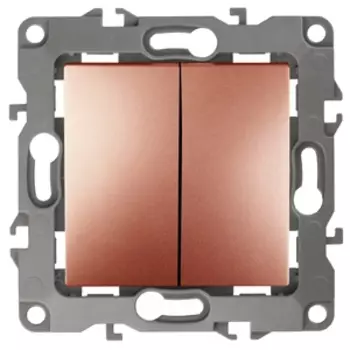 Выключатель двухклавишный ЭРА 12 10AX 250V 12-1104-14 Б0019289