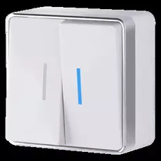 Выключатель двухклавишный с подсветкой Gallant (белый) Werkel W5020101