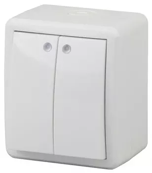Выключатель двухклавишный с подсветкой ЭРА Эксперт 10AX 250V IP54 11-1405-01 Б0020677
