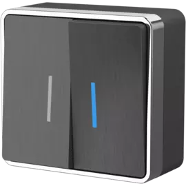 Выключатель двухклавишный с подсветкой Gallant (графит рифленый) Werkel W5020104