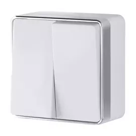 Выключатель двухклавишный Gallant (белый) Werkel W5020001