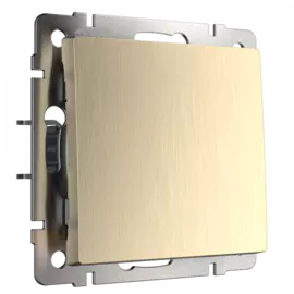 Выключатель одноклавишный проходной (шампань рифленый) Werkel W1112010