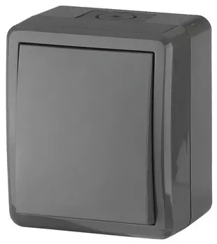 Выключатель одноклавишный с подсветкой ЭРА Эксперт 10AX 250V IP54 11-1402-03 Б0020672
