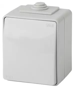 Переключатель одноклавишный ЭРА Эксперт 10AX 250V IP65 11-1603-03 Б0035975