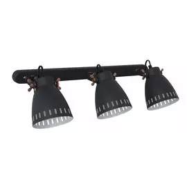 WML-428-3 С02 Спот настенный Camelion New York 13067