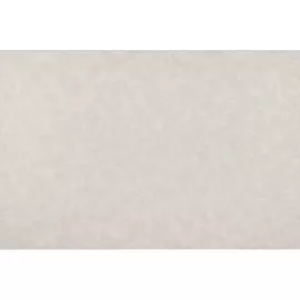 10211-02 Обои Артекс (Магия Фонов) (1*6) 10,05x1,06 винил на флизелине (Артекс)