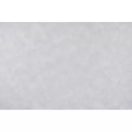 10211-04 Обои Артекс (Магия Фонов) (1*6) 10,05x1,06 винил на флизелине (Артекс)