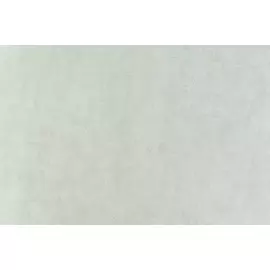 10307-02 Обои Артекс (Магия Фонов) (1*6) 10,05x1,06 винил на флизелине (Артекс)