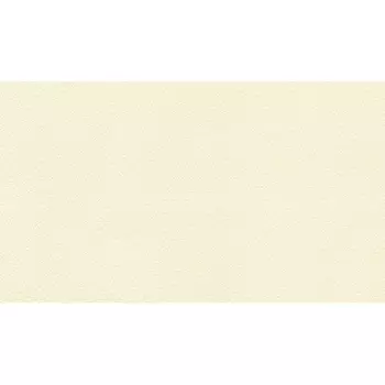 Обои (Origin) (1*6) 10,05x1,06 винил на флизелине Marburg Origin 31398